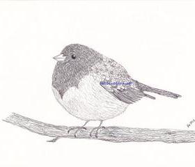 Grey Bird Print Watercolor Painting Print